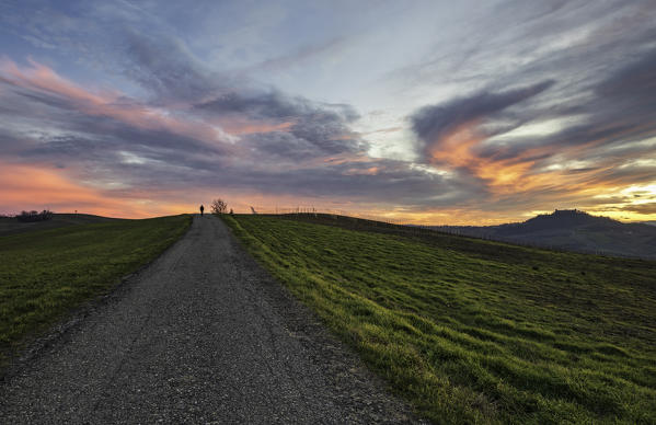 Oltrepo pavese hills at sunset, Pavia province, Lombardy, Italy, Europe