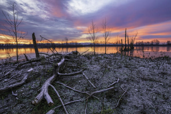Lake Le Folaghe at sunrise, Lombardy, Pavia province, Italy, Europe. 