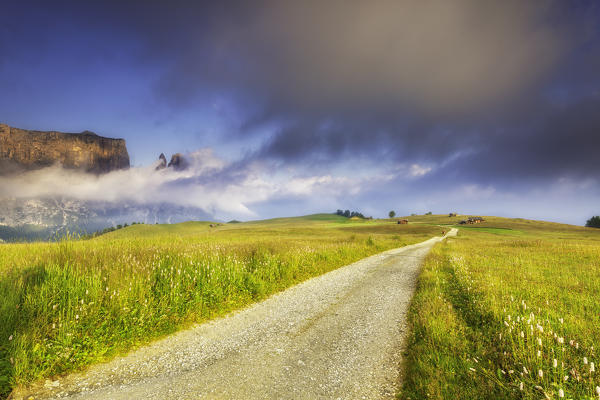 Sunrise on the Alpe di Siusi. In the background the peaks of Sciliar. 