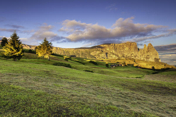 Sunrise on the Alpe di Siusi. In the background the peaks of Sciliar. 