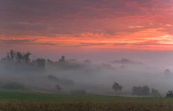 Alexandria hills, Piedmont, Italy. Hills of Alexandria in autumn on a foggy morning .
