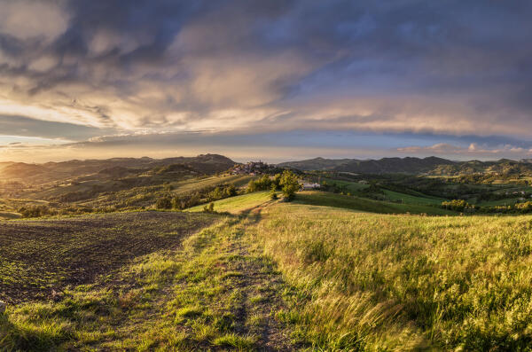 View of Alessandria hills at sunset, Alessandria province, Piedmont, Italy, Europe. 