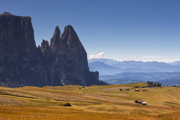 Panoramic view of the Alpe di Siusi, in the background the peaks of Sciliar. 