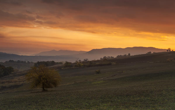 Tortona hills, Alessandria province,Piedmont, Italy, Europe.
