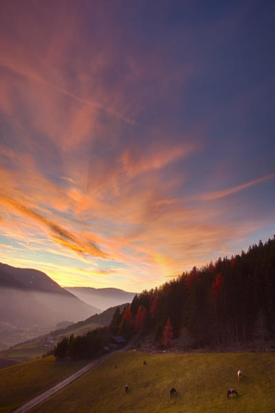 Val di Funes, Dolomites,Trentino Alto Adige, Italy, Europe.