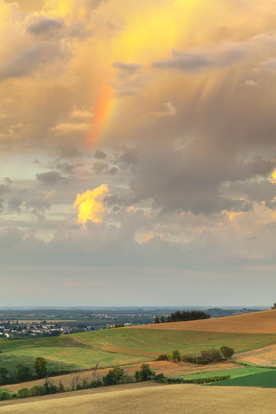 Monferrato hills,Alessandria province, Piedmont, Italy, Europe. 