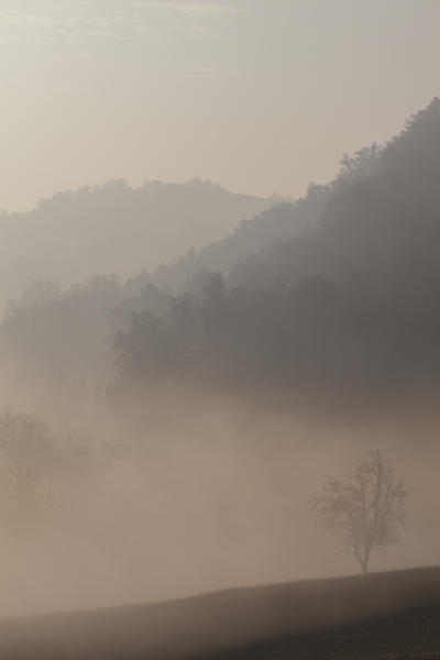 Tortona hills, Alessandria province,Piedmont, Italy, Europe. 