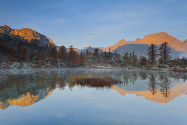 Mont Avic Park, Aosta province, Valle d'Aosta, Italy, Europe. 