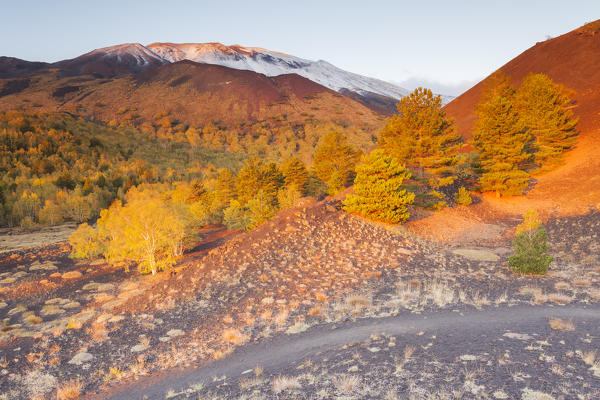 Etna National Park, Catania province, Italy, Europe.