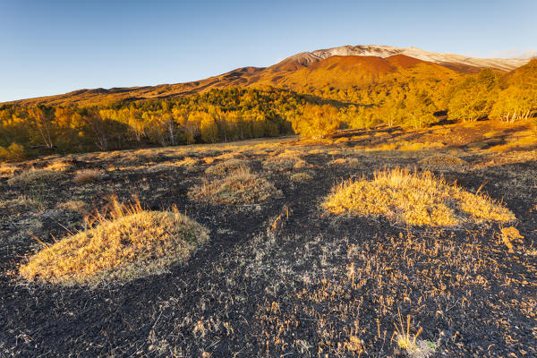 Etna National Park, Catania province, Italy, Europe.