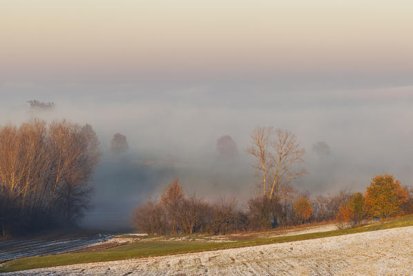Alessandria hills, Alessandria province,Piedmont, Italy, Europe. 