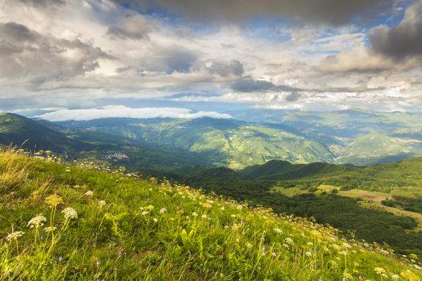 Ligurian Apennines, Alessandria province, Piedmont, Italy, Europe. 