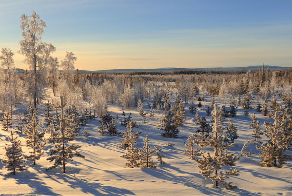 Lapland, Sweden, Europe.