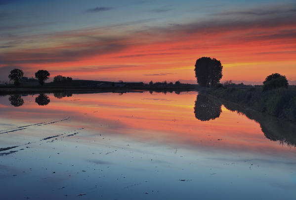 Lombardy, Italy. Sunset in Lomellina taken in a recently flooded paddy 