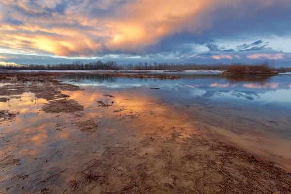 Po river park, Alessandria province, Piedmont, Italy, Europe. 