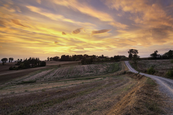 Alessandria hills at the sunset, Alessandria province,Piedmont, Italy, Europe. 