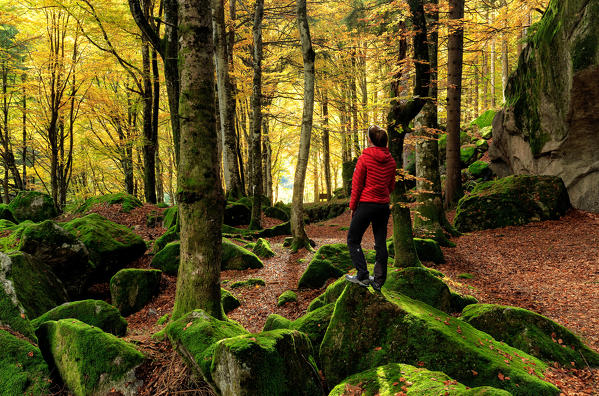 Hiker treks through the forest, Bagni Masino Valmasino, Italy