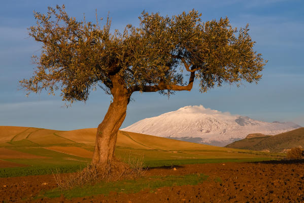 Etna from the plain of Catania, sicily,Italy, europe