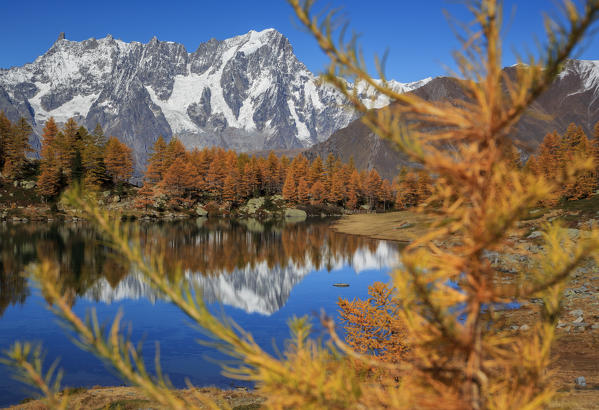 The Grand Jorasses wrapped from Autumn, Arpy lake,courmayeur, val d'aosta,italy, europe