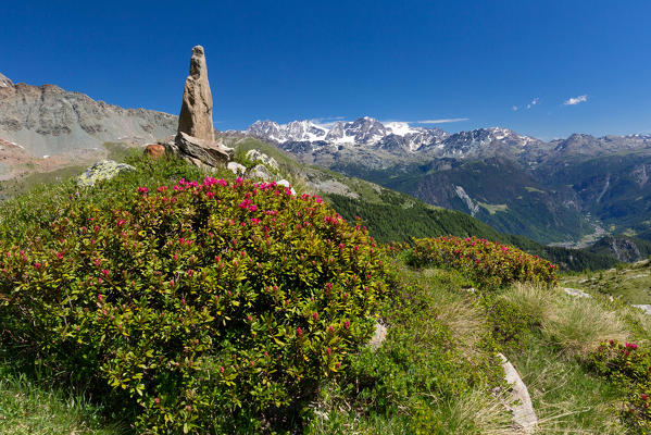 View on Bernina range from a hike trail in Valmalenco, Province of Sondrio, Lombardy, Italy, Europe