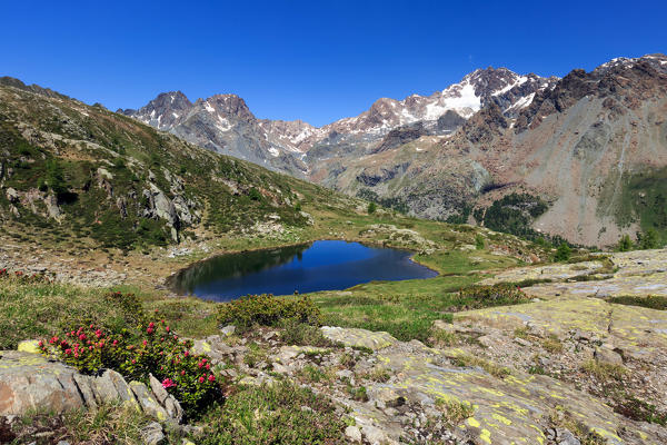Alpine lake of Lago di Zana, in front of Mount Disgrazia, Valmalenco, Province of Sondrio, Lombardy, Italy, Europe