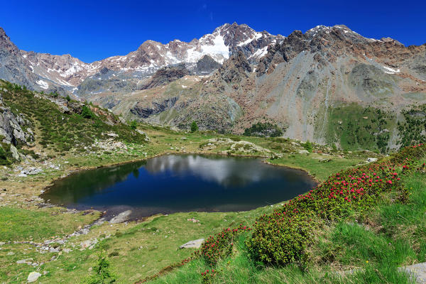 Alpine lake of Lago di Zana, in front of Mount Disgrazia, Valmalenco, Province of Sondrio, Lombardy, Italy, Europe