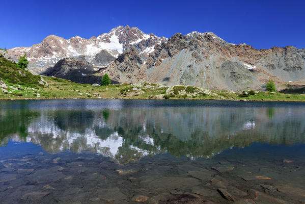 Alpine lake of Lago di Zana, in front of Mount Disgrazia, Valmalenco, Province of Sondrio, Lombardy, Italy, Europe