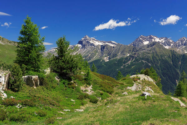 View of Mount Pizzo Scalino from the trail toward Alpe Zana, Valmalenco, Province of Sondrio, Lombardy, Italy, Europe