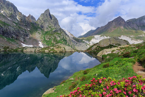 Pizzo Prevat mount reflection into Lago di Leit near Capanna Leit, Valle Leventina, Canton Ticino, Switzerland, Europe 