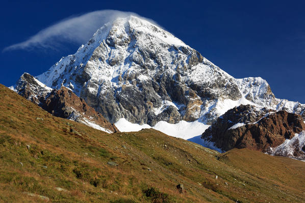 Königsspitze - Gran Zebrù mountain after a summer snowfall, near Rifugio Pizzini hut, Val Cedec, Valfurva, Valtellina, Province of Sondrio, Lombardy, Italy