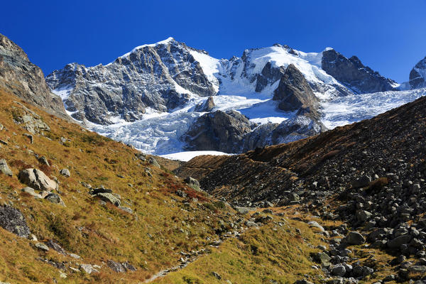 Piz Bernina glacier from Val Roseg near Capanna Tschierva hut, Engadin, Canton Grisons, Switzerland, Europe
