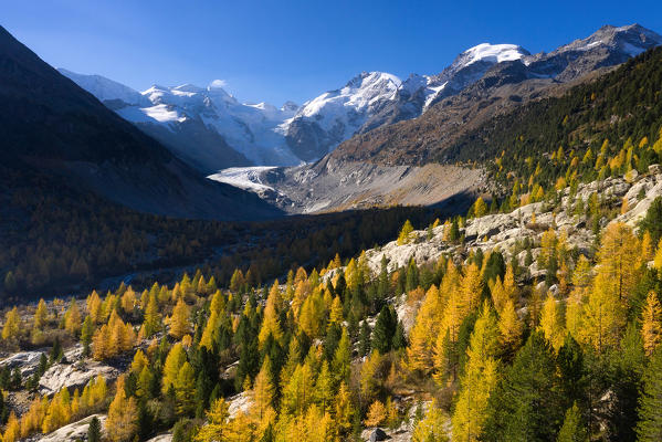 Autumn view on the valley of Morteratsch Glacier with the Bernina Group, Pontresina, Engadin, Canton Grisons, Switzerland, Europe