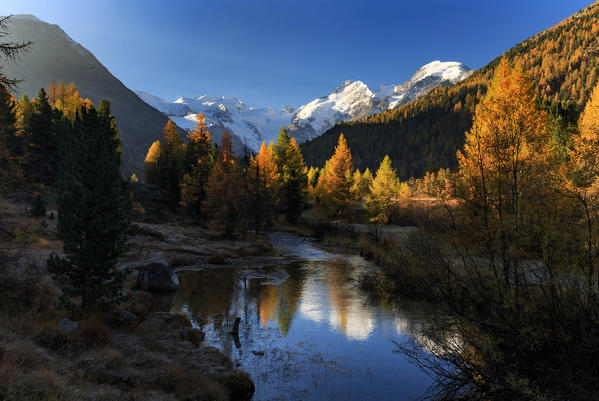 Autumn view on the valley of Morteratsch Glacier with the Bernina Group reflected into a small pond at sunrise, Pontresina, Engadin, Canton Grisons, Switzerland, Europe