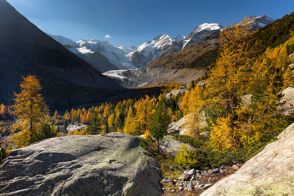 Autumn view on the valley of Morteratsch Glacier with the Bernina Group, Pontresina, Engadin, Canton Grisons, Switzerland, Europe