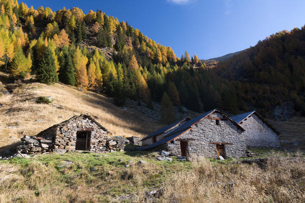 Alpine huts of Alp Calvaresc in autumn, Val Calanca, Canton Grison, Switzerland, Europe