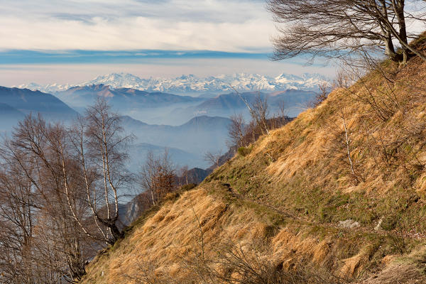 View on the Monte Rosa range from the hiking trail towards Rifugio Elisa hut in Grigne Group, Mandello del Lario, Province of Lecco, Lombardy, Italy, Europe