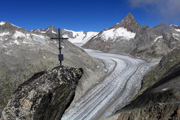 Finsteraarhorn and Fiescher Gletscher from the summit of Setzehorn, Bellwald, Valais, Switzerland