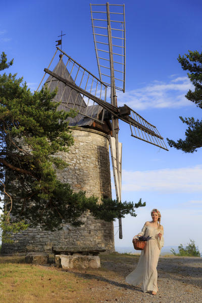 Blonde girl in a white dress carrying a basket of lavander under a windmill, valensole, provence, france