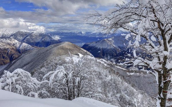 View on Magadino and Lago Maggiore from Mount Pizzin in winter, Monti di Comino, Verdasio, Centovalli, Canton Ticino, Switzerland