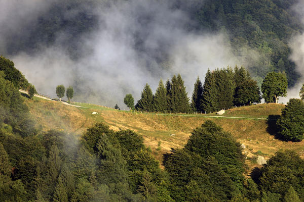 View on the small road leading to Rifugio Martina, Parco San Primo, Triangolo Lariano, Bellagio, Province of Como, Lombardy, Italy