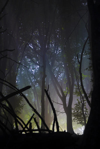 Rainbow through the fog in the woods, along the path to Monte San Primo, Bellagio, Province of Como, Lombardy, Italy 