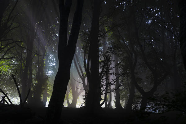 Rainbow through the fog in the woods, along the path to Monte San Primo, Bellagio, Province of Como, Lombardy, Italy 