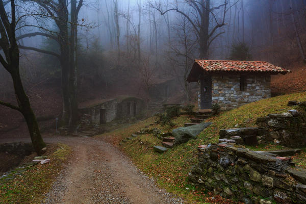 Small chapel in the woods near terz'alpe in val ravella, gajum, canzo, valassina, province of como, lombardy, italy, Europe