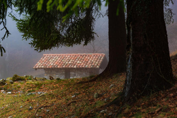 Small chapel in the woods near terz'alpe in val ravella, gajum, canzo, valassina, province of como, lombardy, italy, Europe