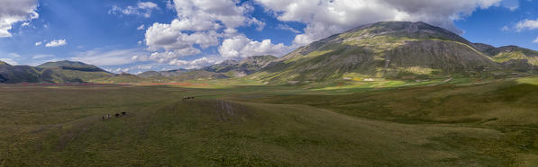 Italy, Umbria, Sibillini National Park, Aerial view of Piano Grande di Castelluccio di Norcia
