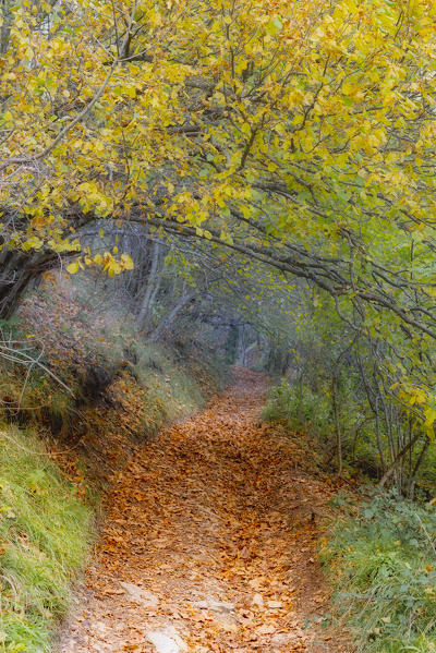 Italy, Umbria, Sibillini Mountains National Park, Gorge Infernaccio in Autumn