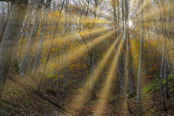 Italy, Umbria, Sibillini Mountains National Park, Gorge Infernaccio in Autumn