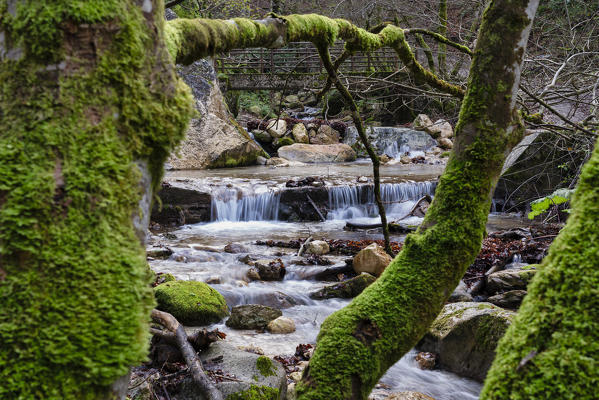 Italy, Umbria, Sibillini Mountains National Park, Gorge Infernaccio in Autumn