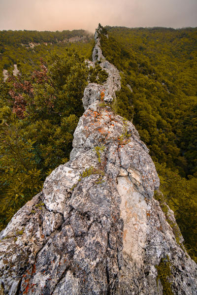 Italy, Umbria, Apennines,Mount Cucco, Spaccatura delle Lecce in Autumn