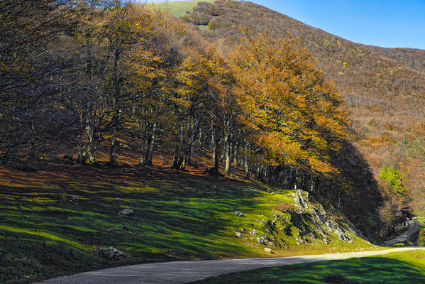 Italy, Umbria, Apennines, Mount Cucco  in Autumn